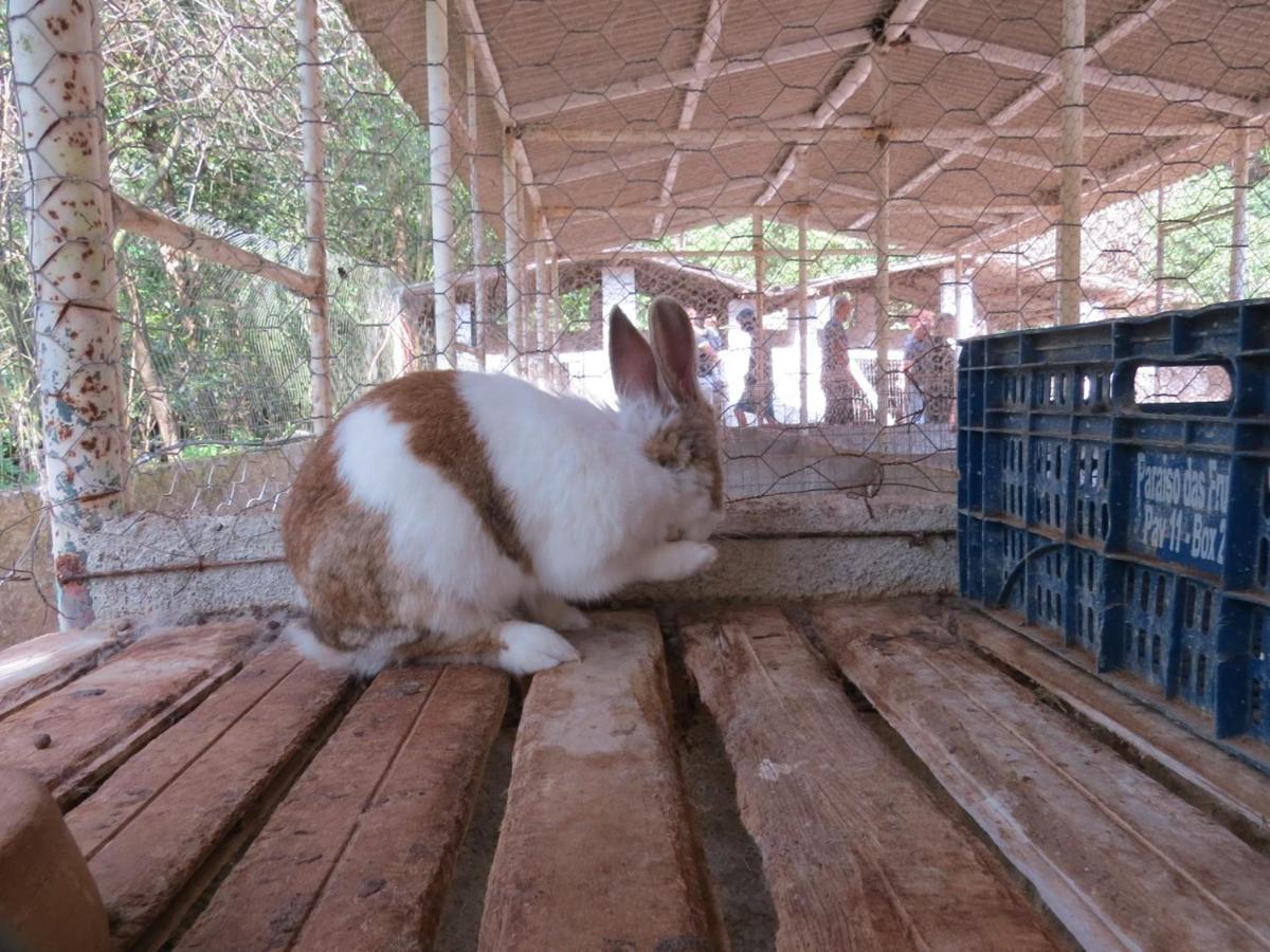 Hotel Fazenda Caledonia Inn ノバ・フリブルゴ エクステリア 写真