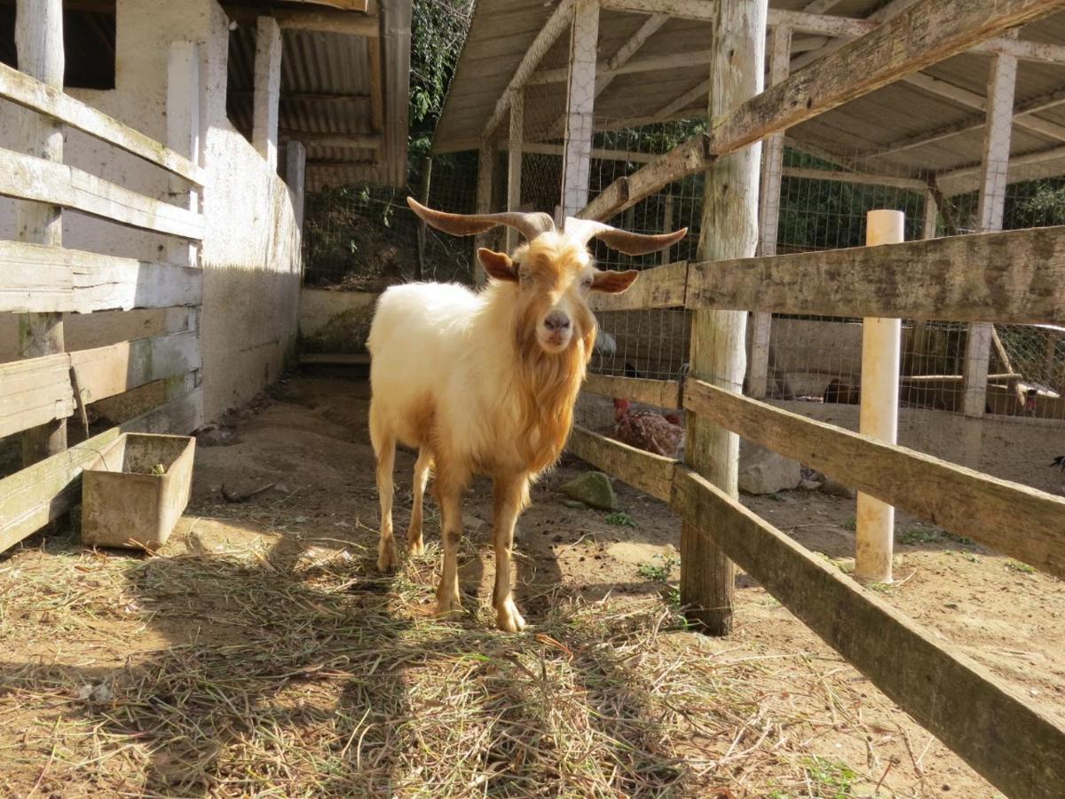 Hotel Fazenda Caledonia Inn ノバ・フリブルゴ エクステリア 写真