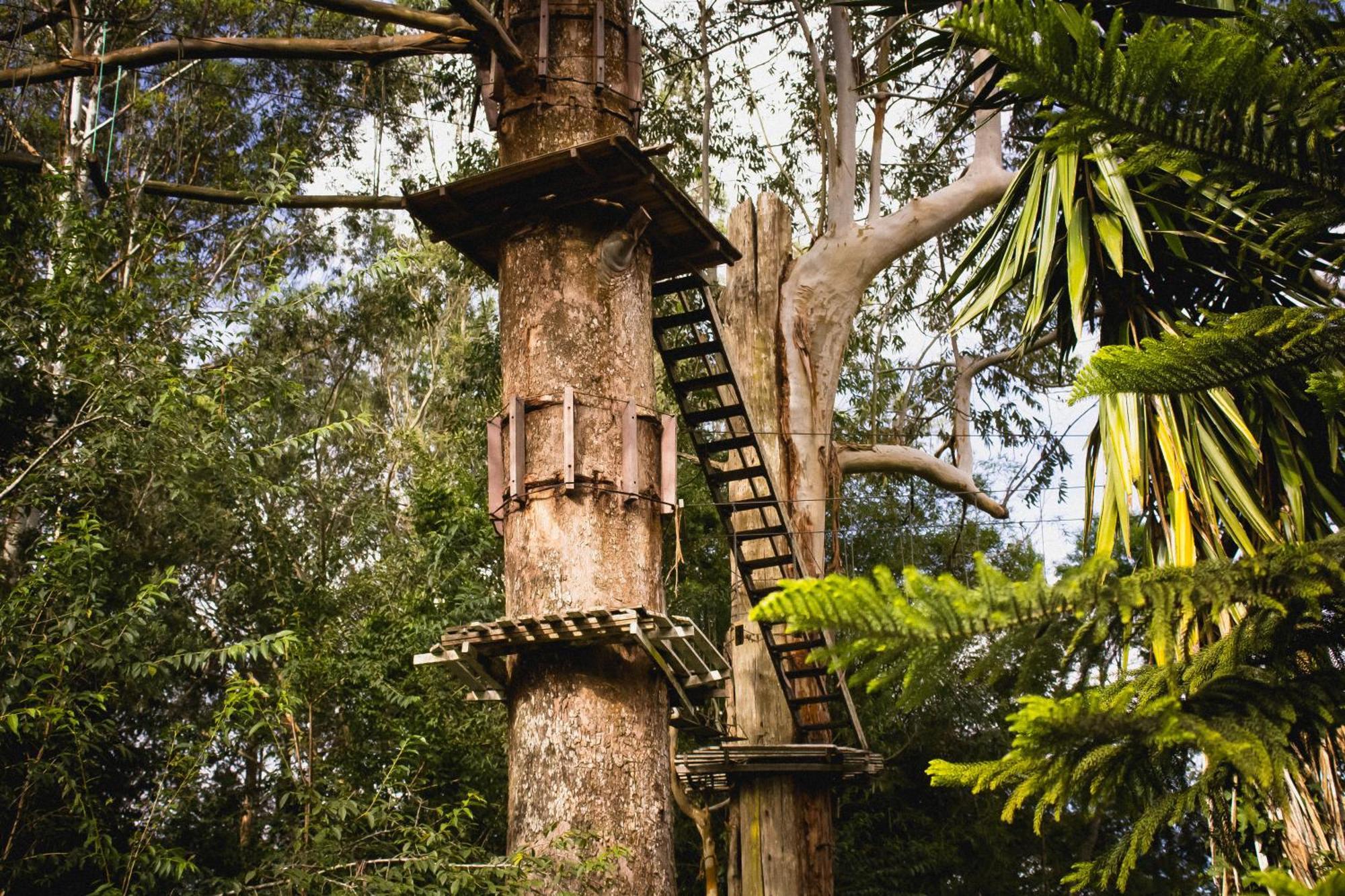 Hotel Fazenda Caledonia Inn ノバ・フリブルゴ エクステリア 写真
